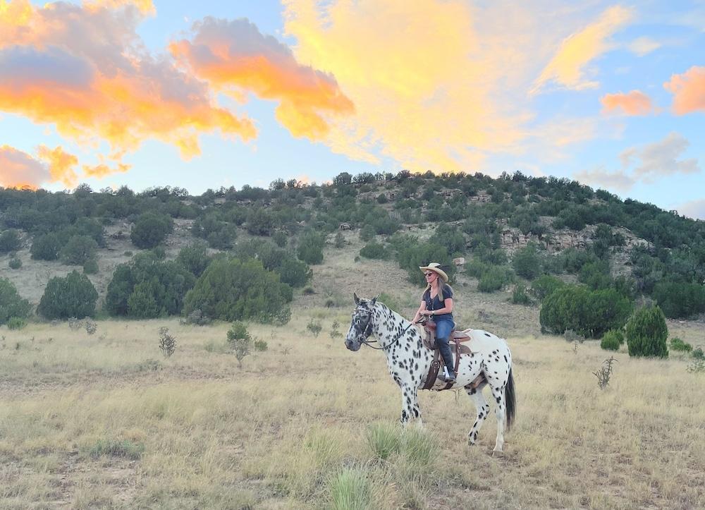 Teepee Lodge with Equus & Firearms/ranch photo 55
