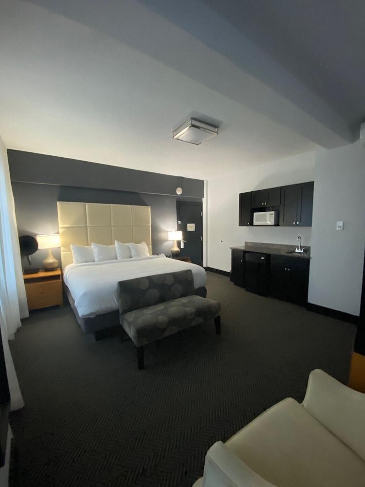 Streamline Hotel photo 45