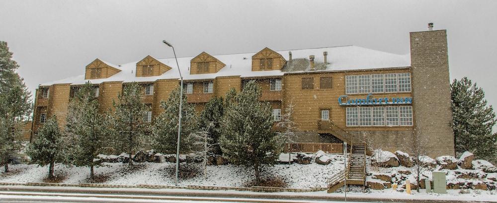 Comfort Inn Flagstaff South I-17 photo 42