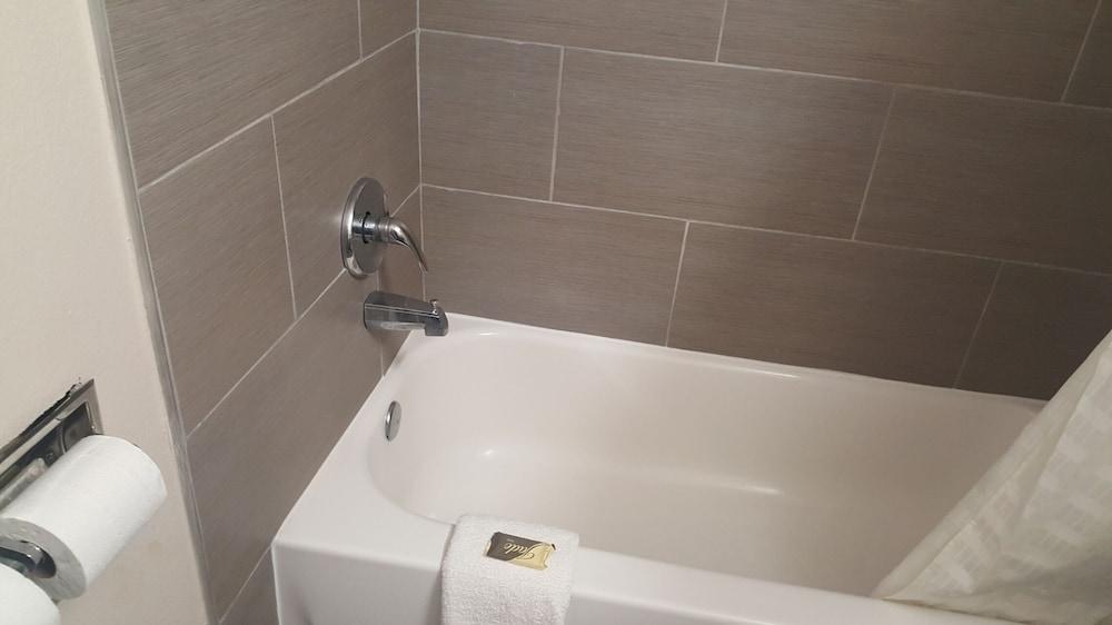 Regency inn and Suites photo 11