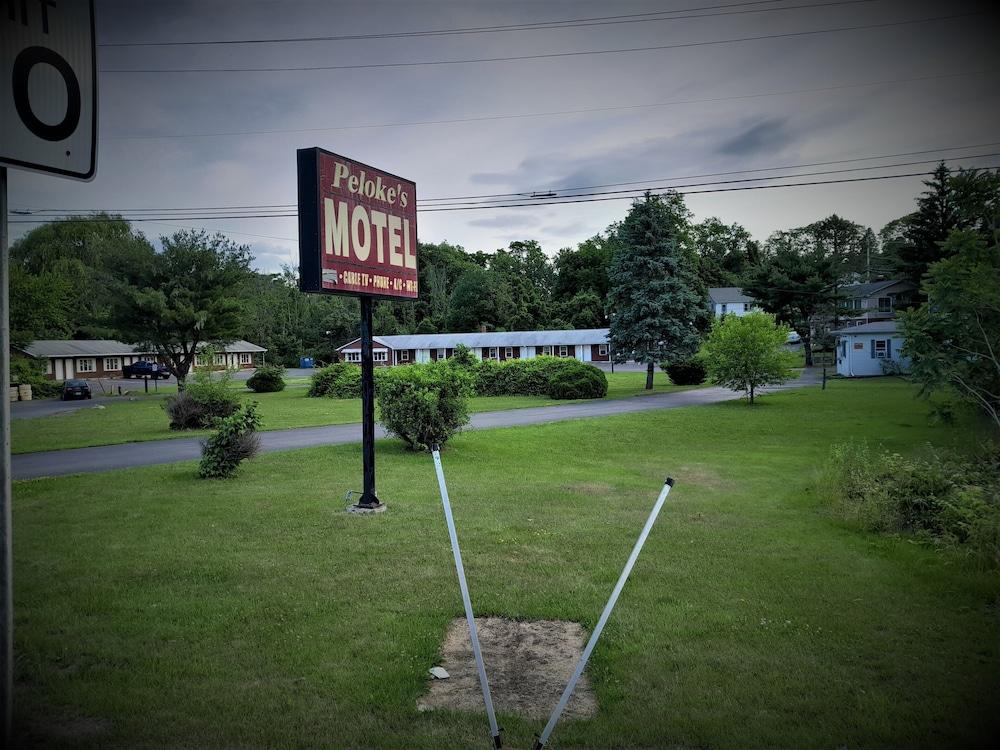 Peloke's Motel — hotel in Catskill