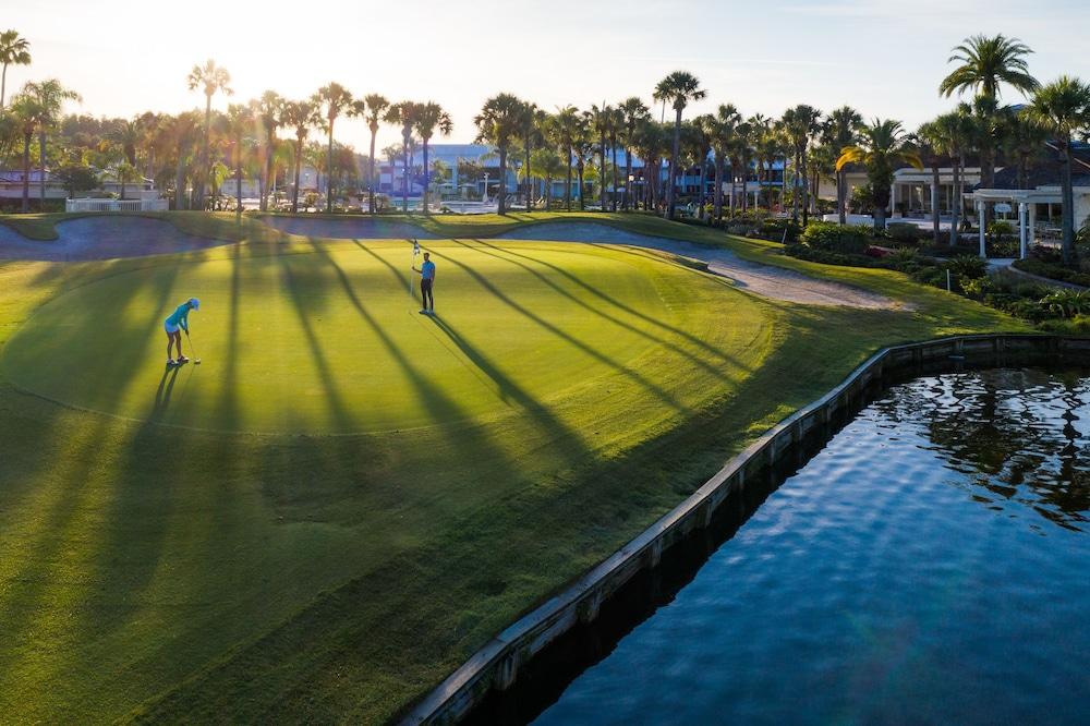 Saddlebrook Resort photo 88