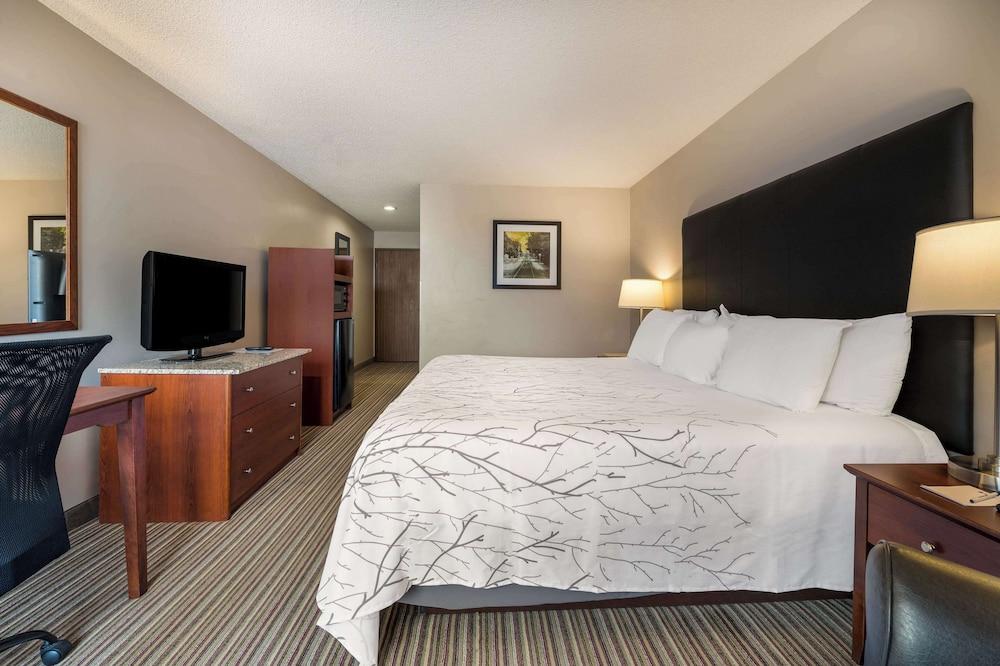 Best Western Park Oasis Inn photo 14