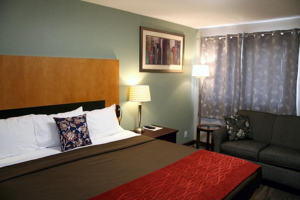 South T Motel photo 28