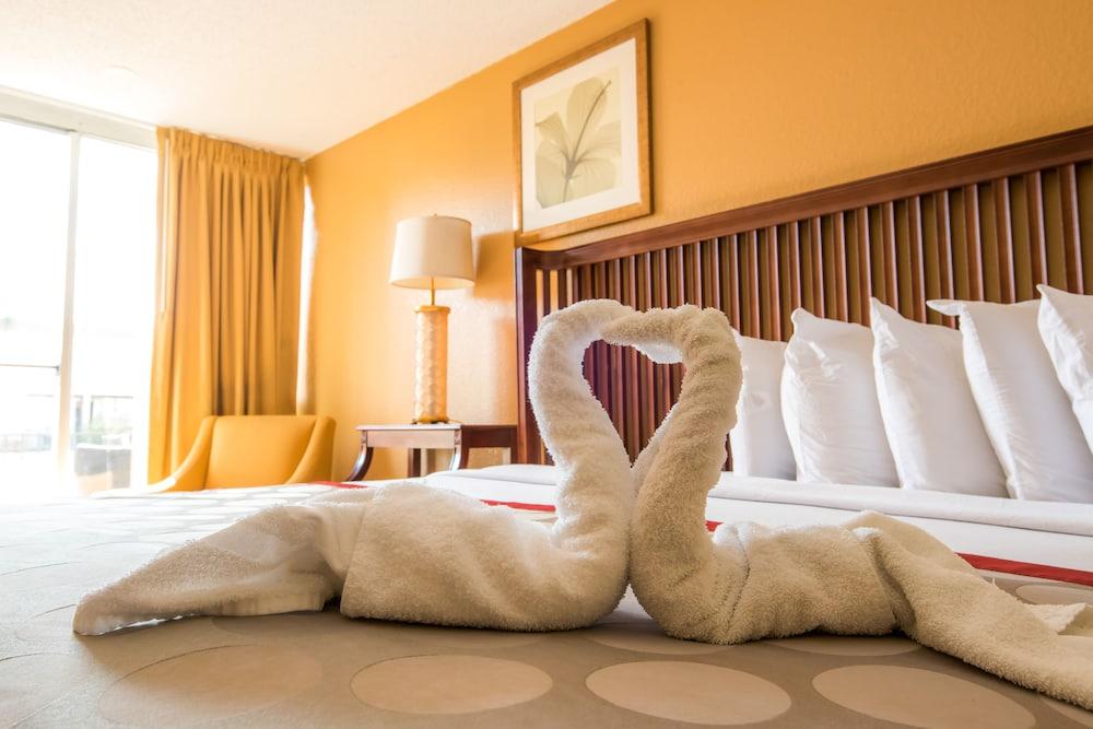 B&B Hotel Orlando International Drive Near Universal - Newly Renovated! photo 18