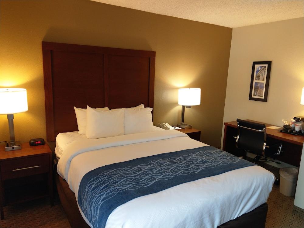 Comfort Inn & Suites Rochelle - DeKalb photo 26