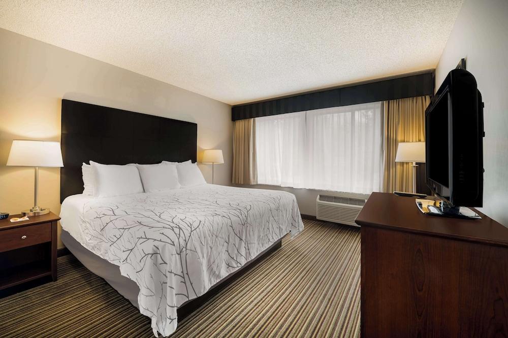 Best Western Park Oasis Inn photo 22