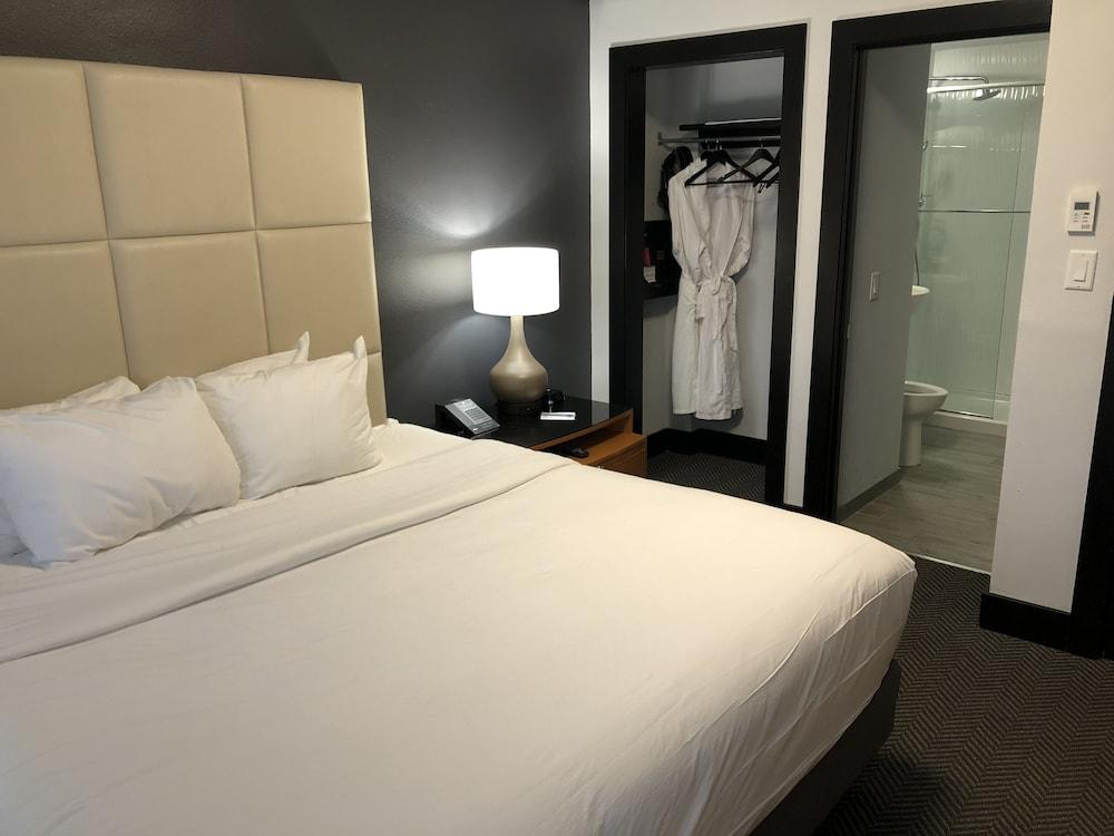 Streamline Hotel photo 50