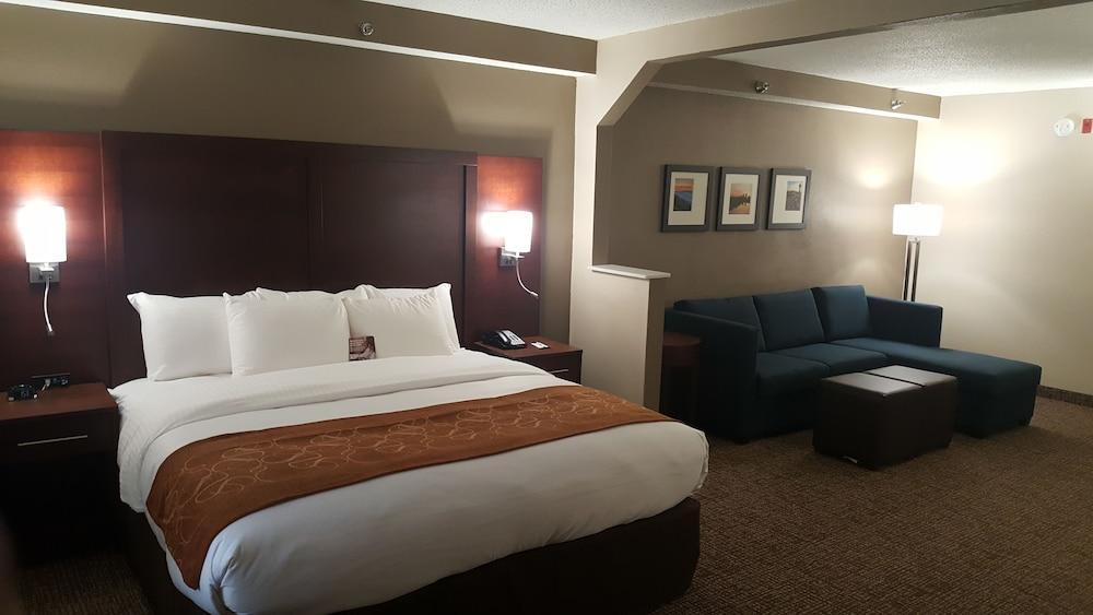 Comfort Suites Knoxville Airport photo 11