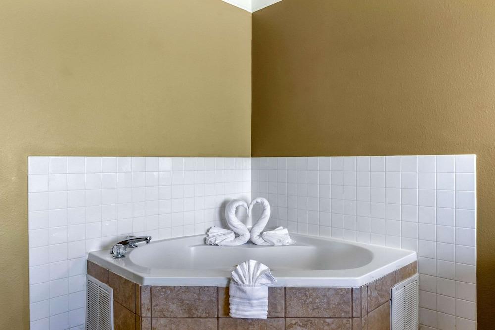 Comfort Suites Plainview photo 15