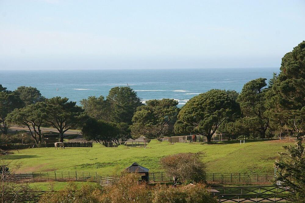The Stanford Inn By The Sea Eco-Resort photo 38