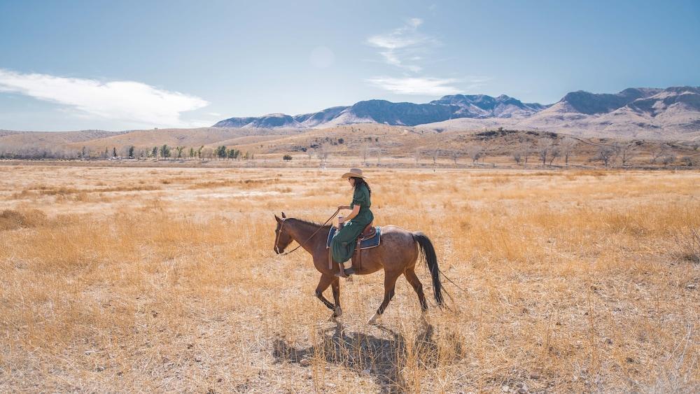 Cibolo Creek Ranch And Resort photo 2