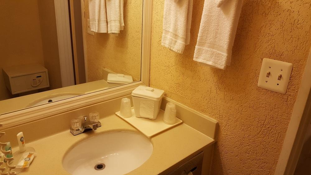 Econo Lodge Tampa near Busch Gardens photo 58