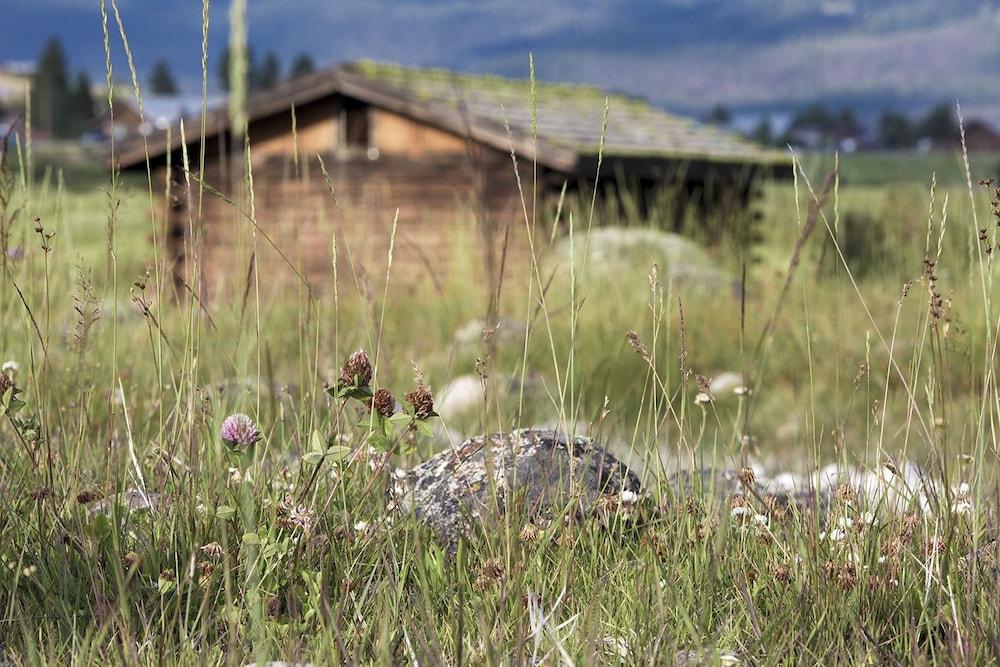Mountain Village Lodge photo 23