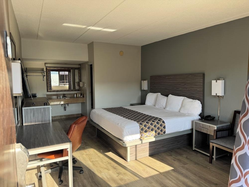Bluestar Motel photo 2