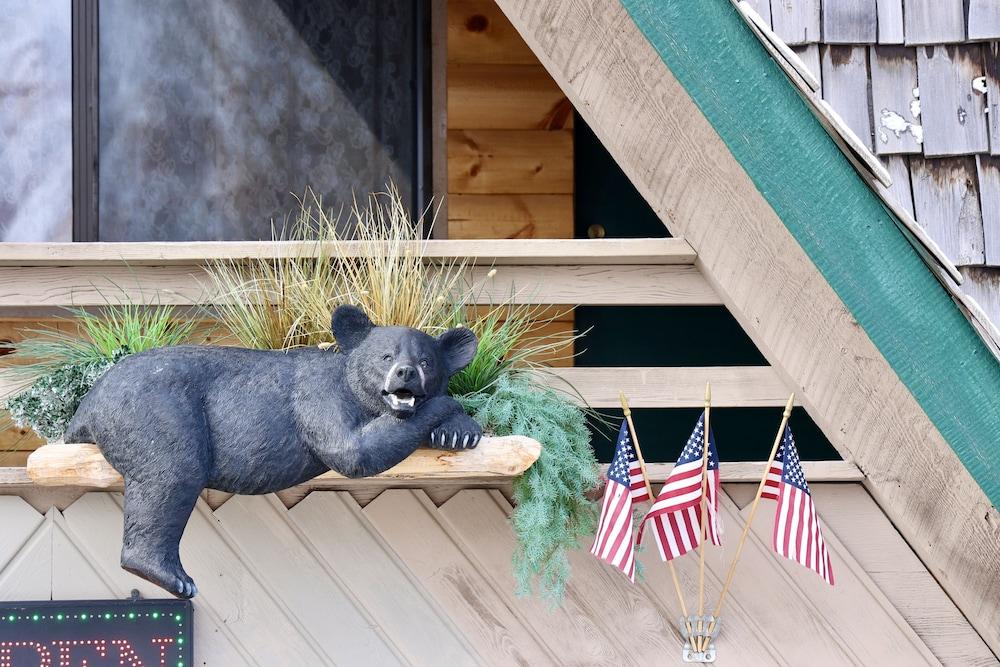 Rocky Mountain Lodge photo 7