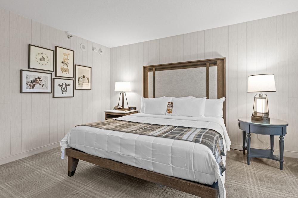 Knott's Hotel photo 9
