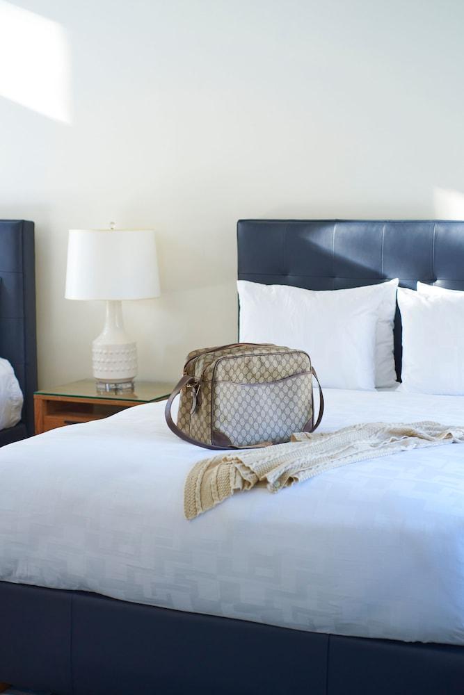 The Hampton Maid photo 13