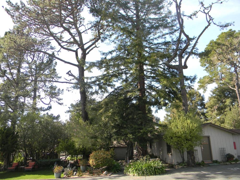 Carmel Resort Inn photo 30