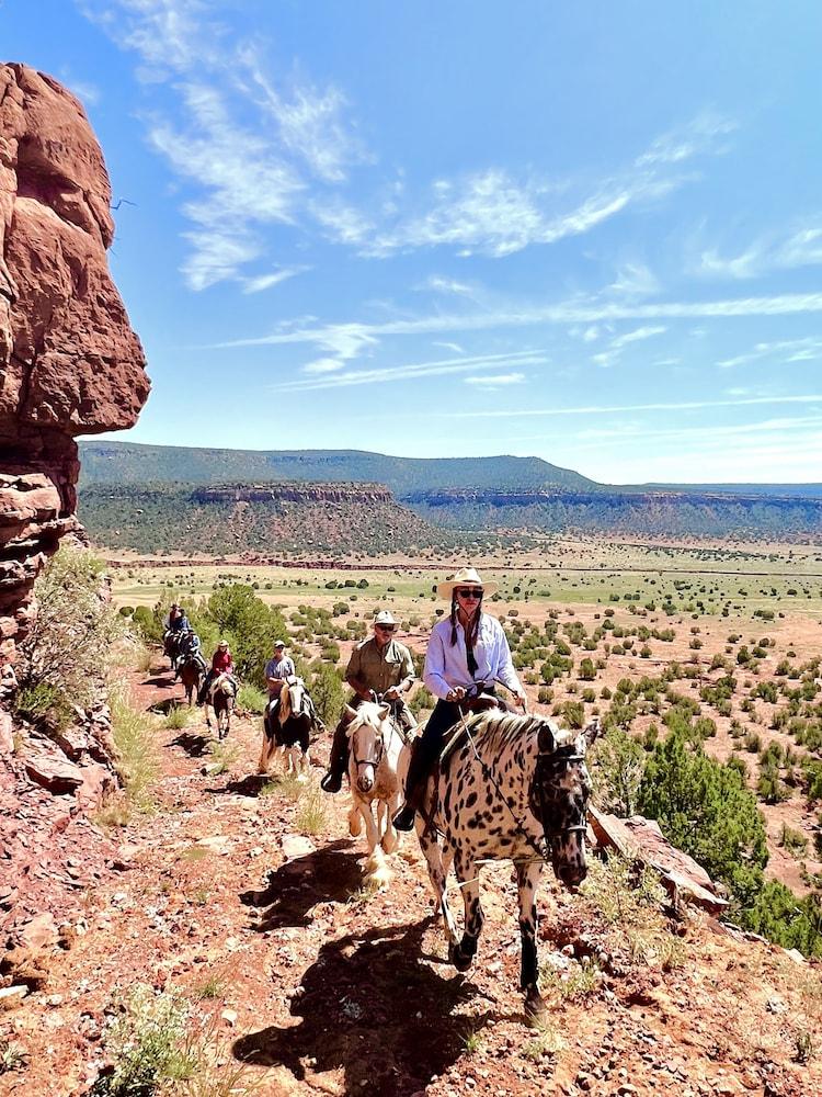 Teepee Lodge with Equus & Firearms/ranch photo 74