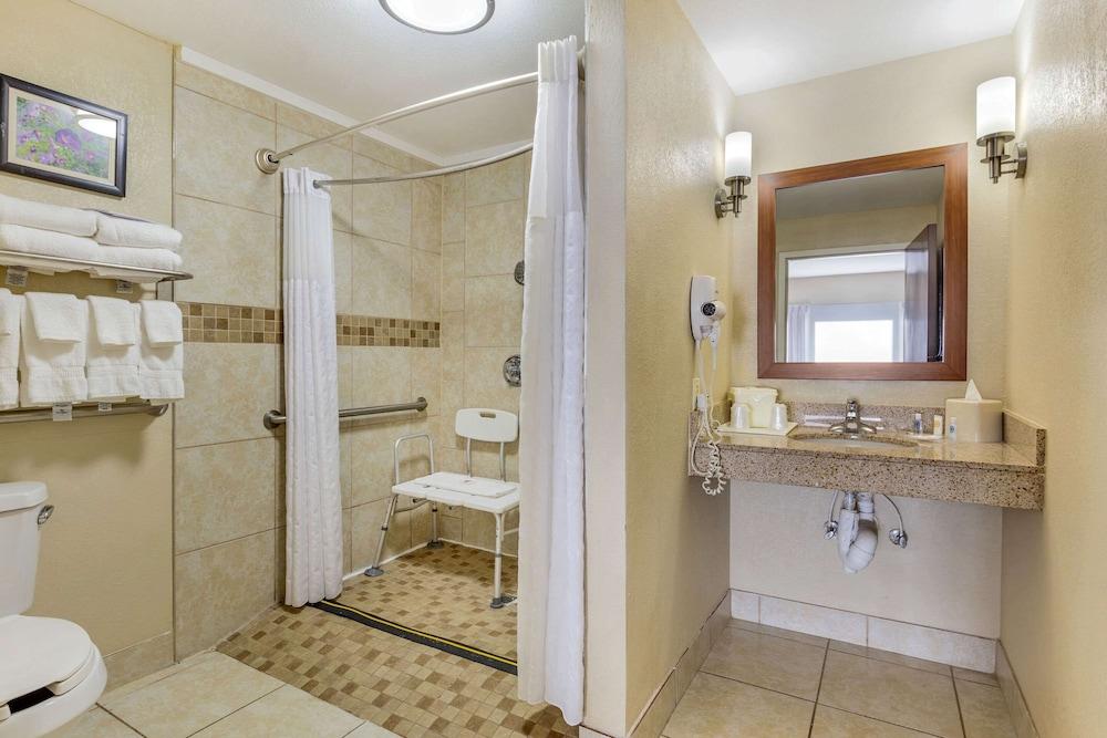 Comfort Suites Wilson I-95 photo 10
