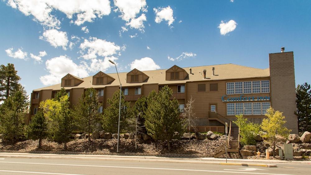 Comfort Inn Flagstaff South I-17 photo 44