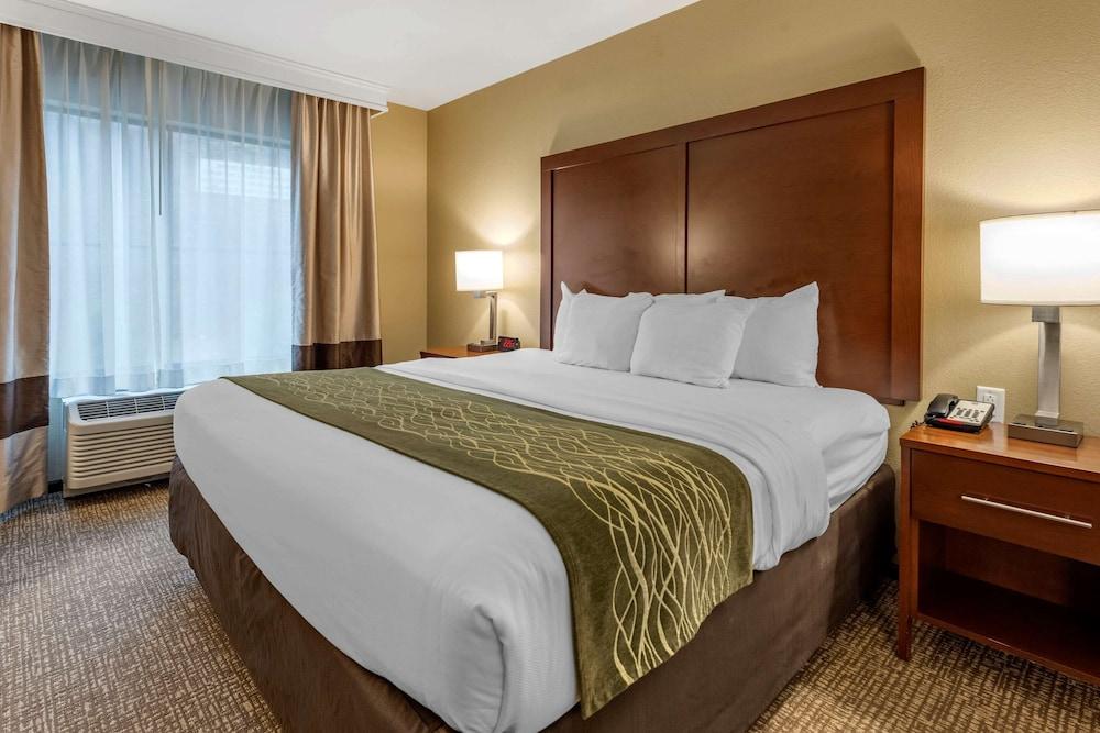 Comfort Inn & Suites Pittsburgh South photo 14