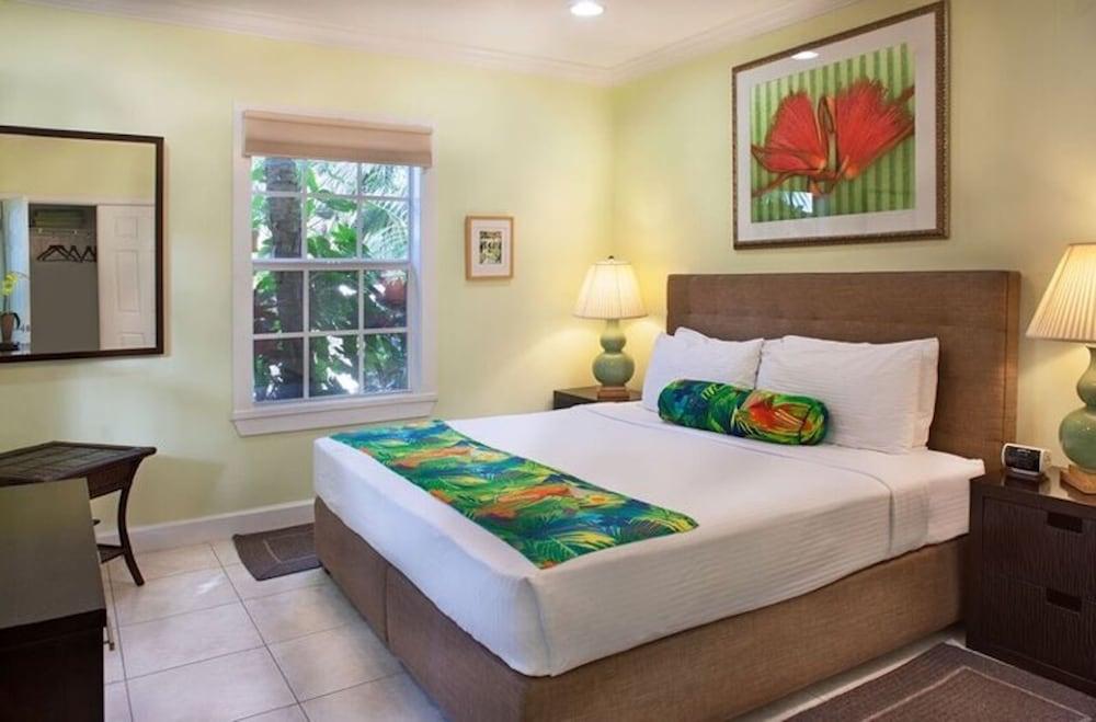 Travelers Palm photo 13
