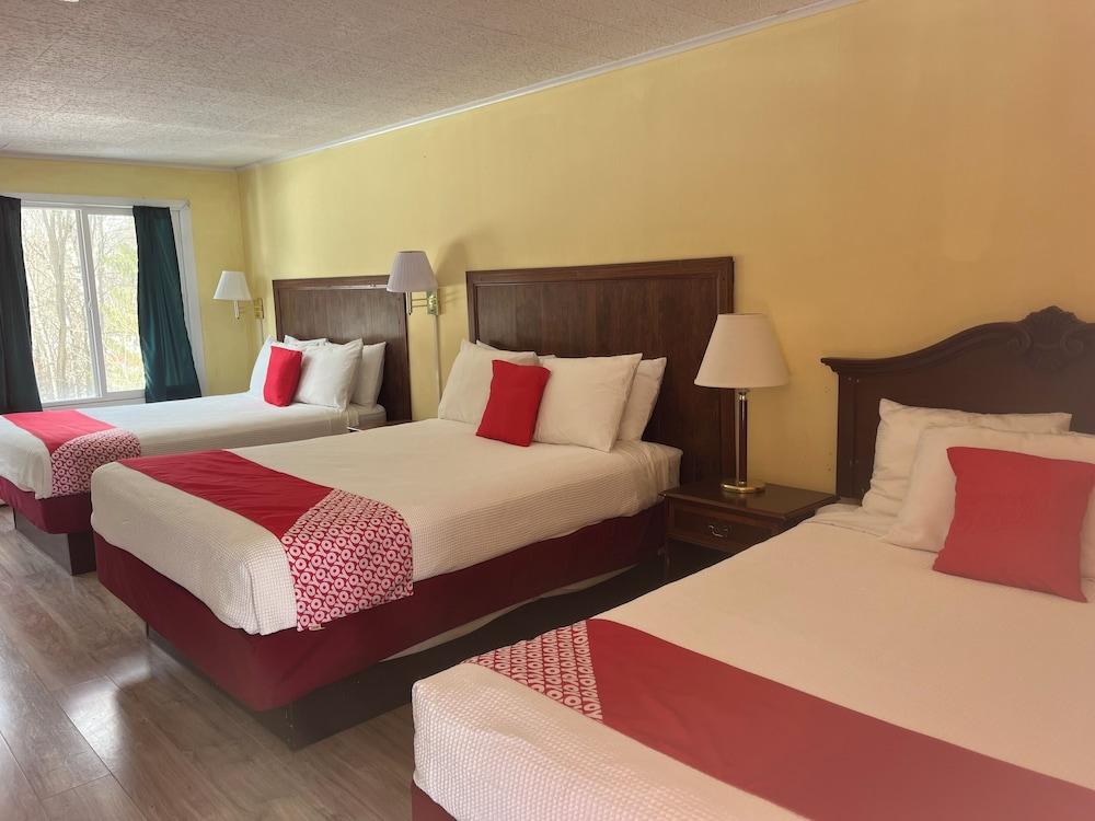 BUENA VISTA INN photo 8