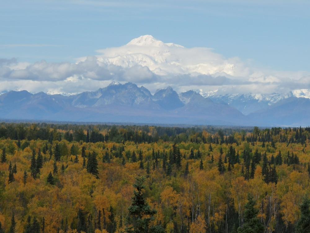 Denali Overlook Inn photo 15