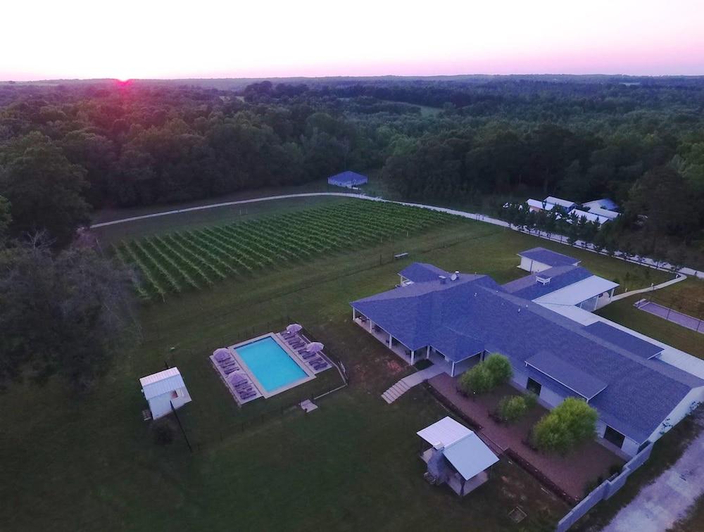High Hill Farm photo 3