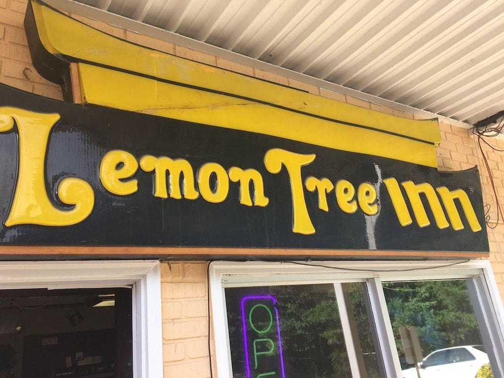 Lemon Inn photo 8
