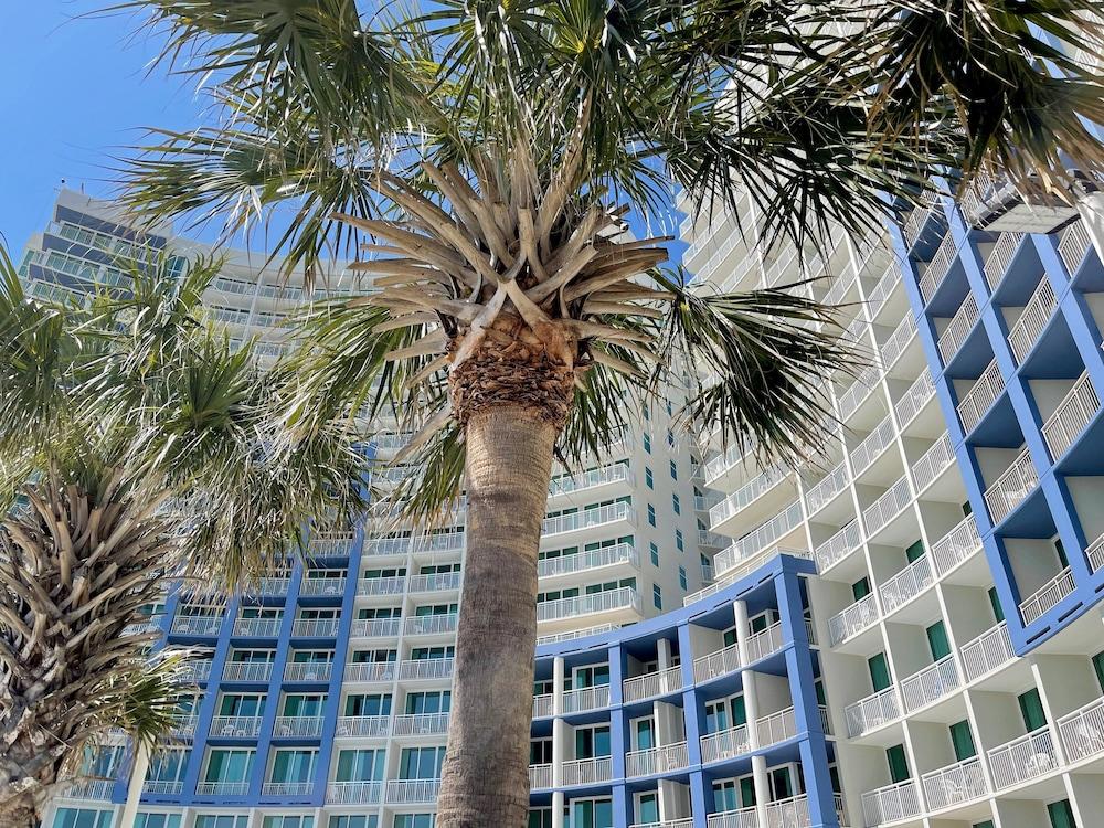 Avista Resort photo 28