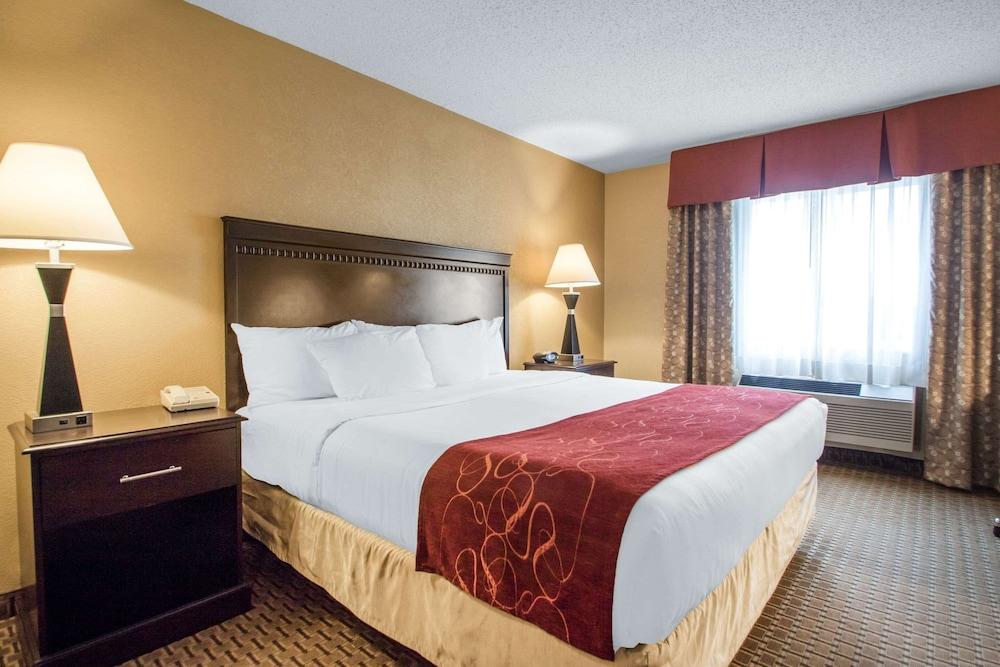 Comfort Suites Wisconsin Dells Area photo 31