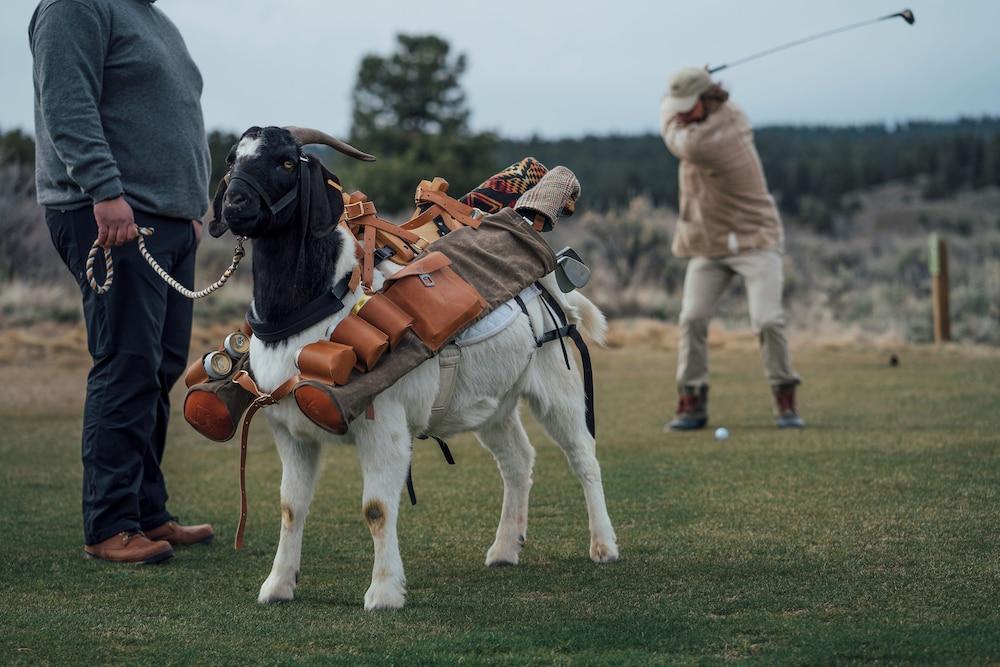 The Retreat at Silvies Valley Ranch photo 10