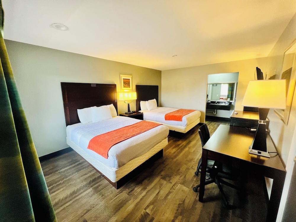 Hotel Vernon photo 7