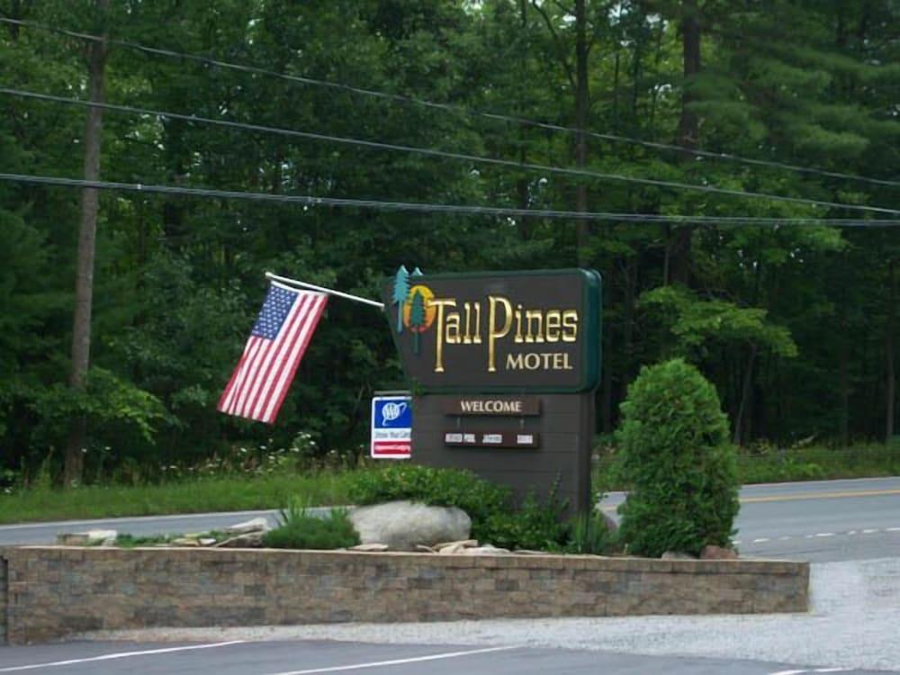 Tall Pines Motel photo 65