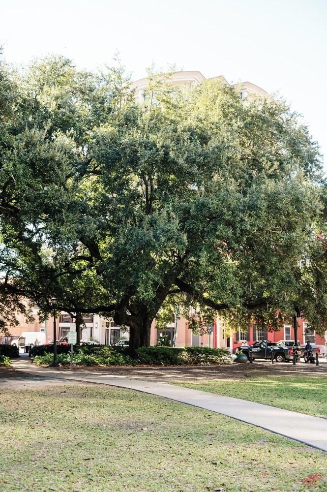 The Lafayette New Orleans By Kasa Living photo 45
