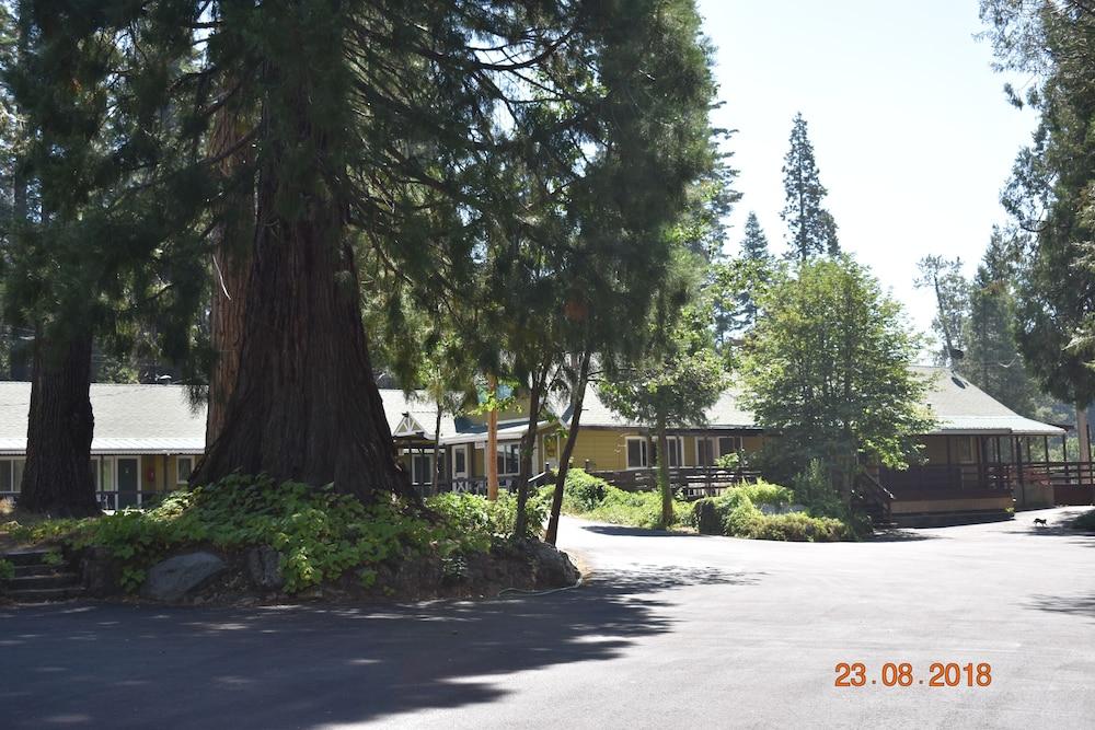 White Chief Mountain Lodge photo 29