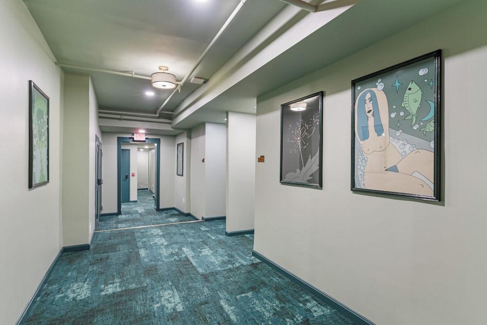 The Duke Hotel photo 6