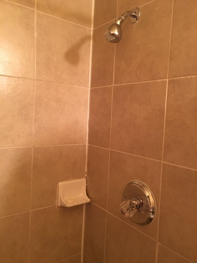 Reddy Inn and Suites photo 33