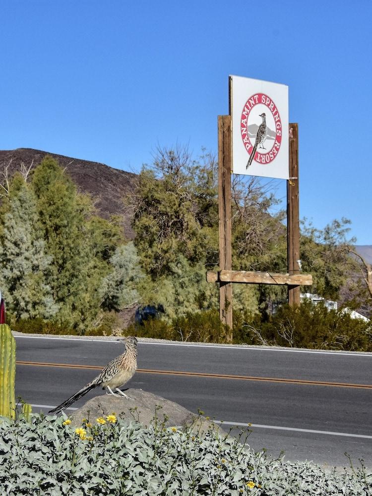 Panamint Springs Resort photo 77