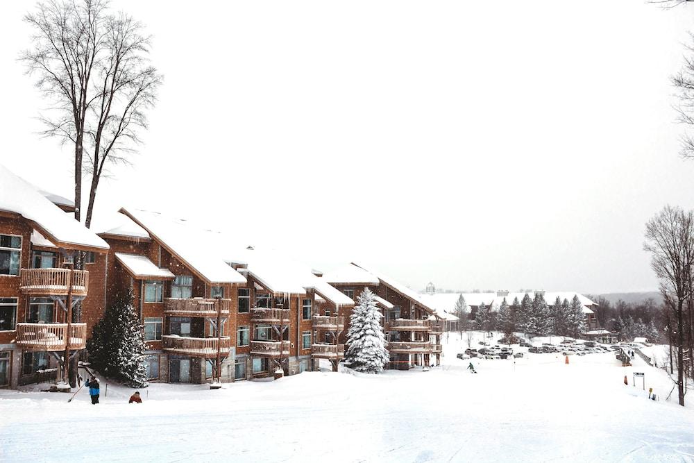 The Lodge at Cedar River, Shanty Creek Resort photo 12