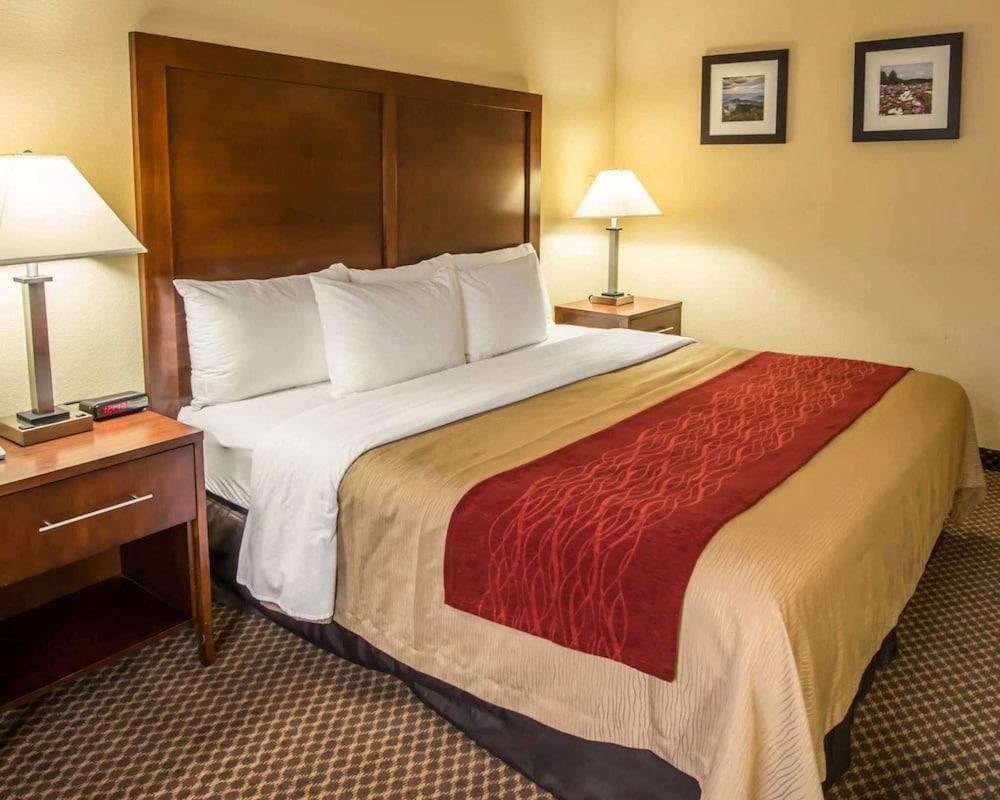 Comfort Inn & Suites Morganton South photo 6