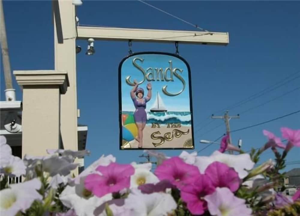 Sands by the Sea Motel photo 35