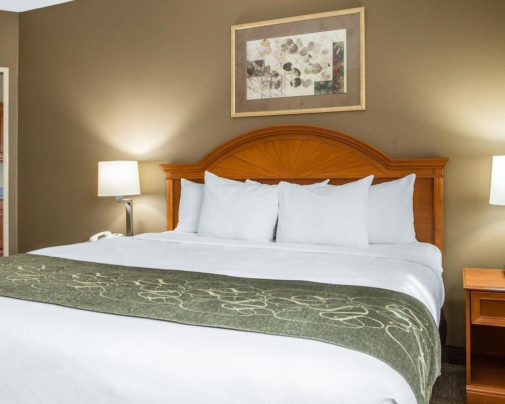 Comfort Suites Springfield I-70 photo 14