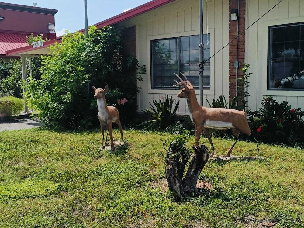 Pen Ann by Capital O Pharr/McAllen TX photo 15