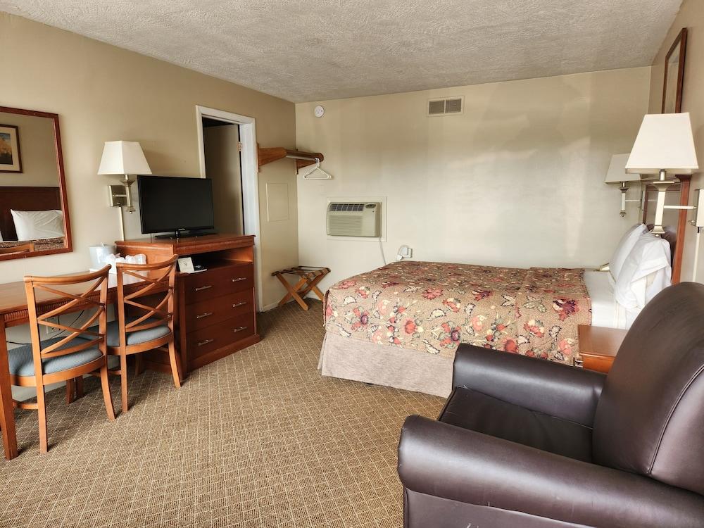 Royal Motel photo 49