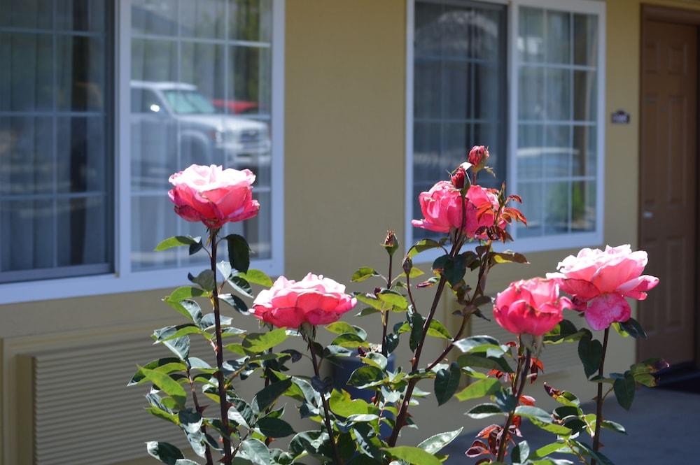 Budget Inn of Paso Robles photo 22