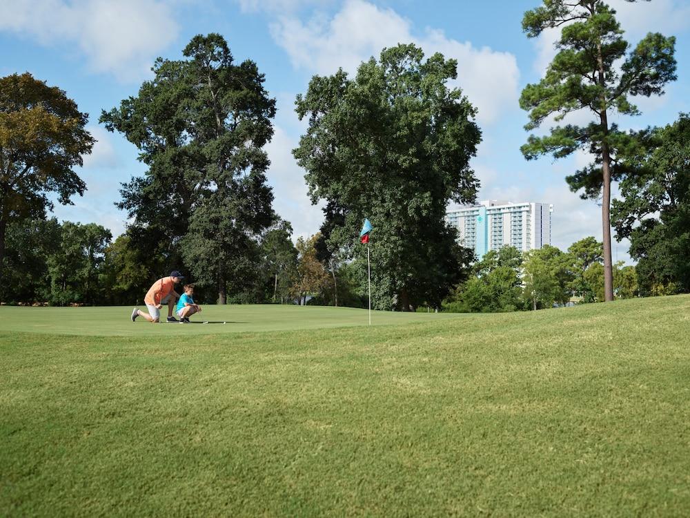 Margaritaville Lake Resort, Lake Conroe/Houston photo 63
